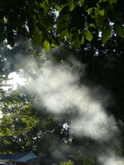 P1050844