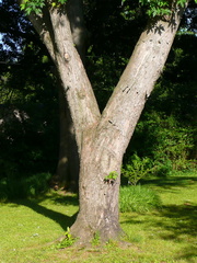 P1010590