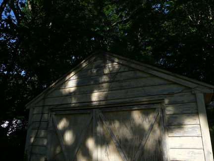 P1010574