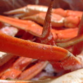 DSCF7559