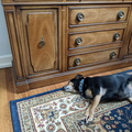 Brinkley